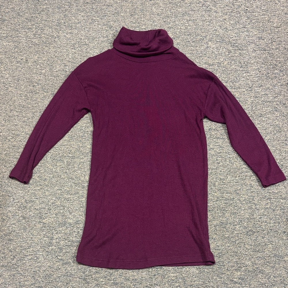 Time and Tru Maroon Knit Sweater